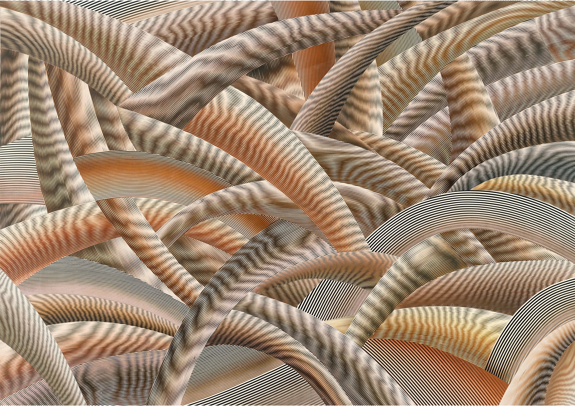 Joe La Placa's 'Harvest': interwoven arcing bands of fine stripes in warm browns, tans and orange forming a woven Moiré basket-weave.