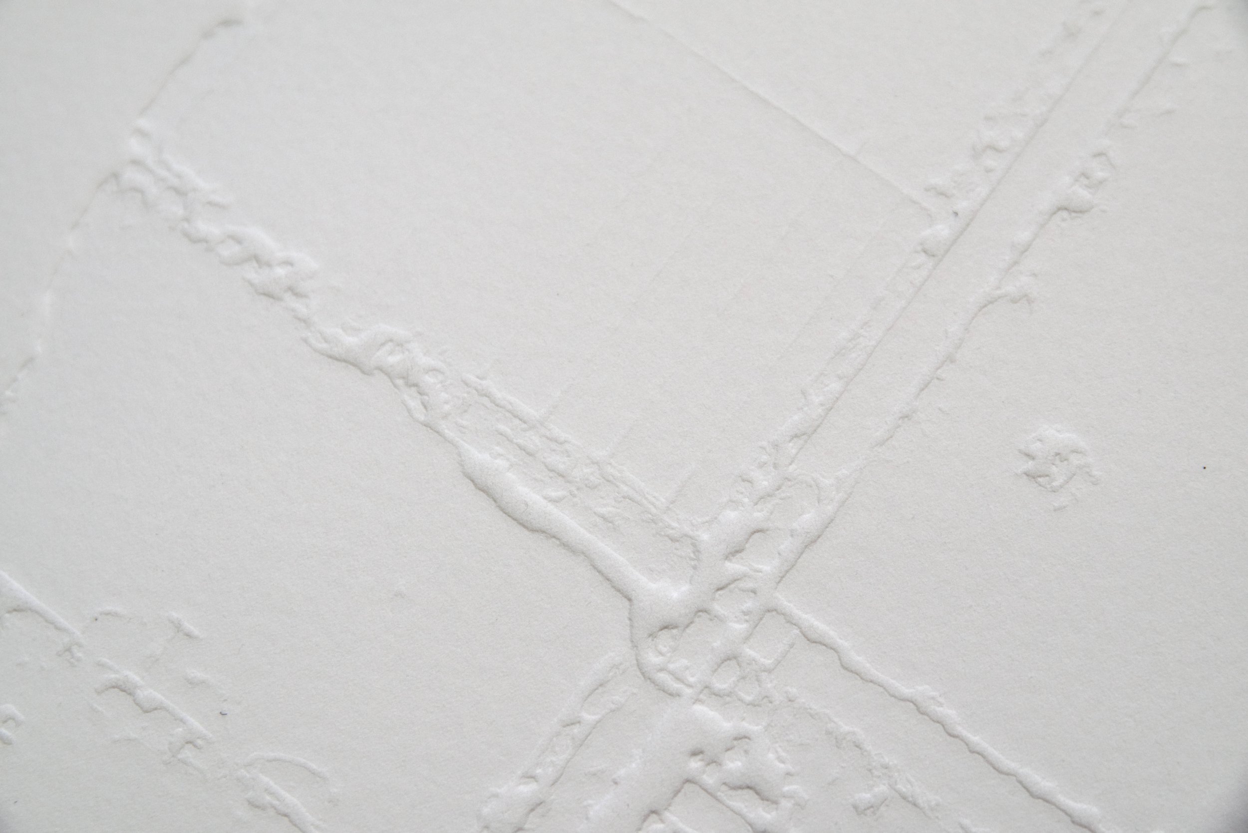 Nazgol Ansarinia, Membrane (detail): raking light across the blind-embossed paper, revealing the shallow relief of crossing wall lines.