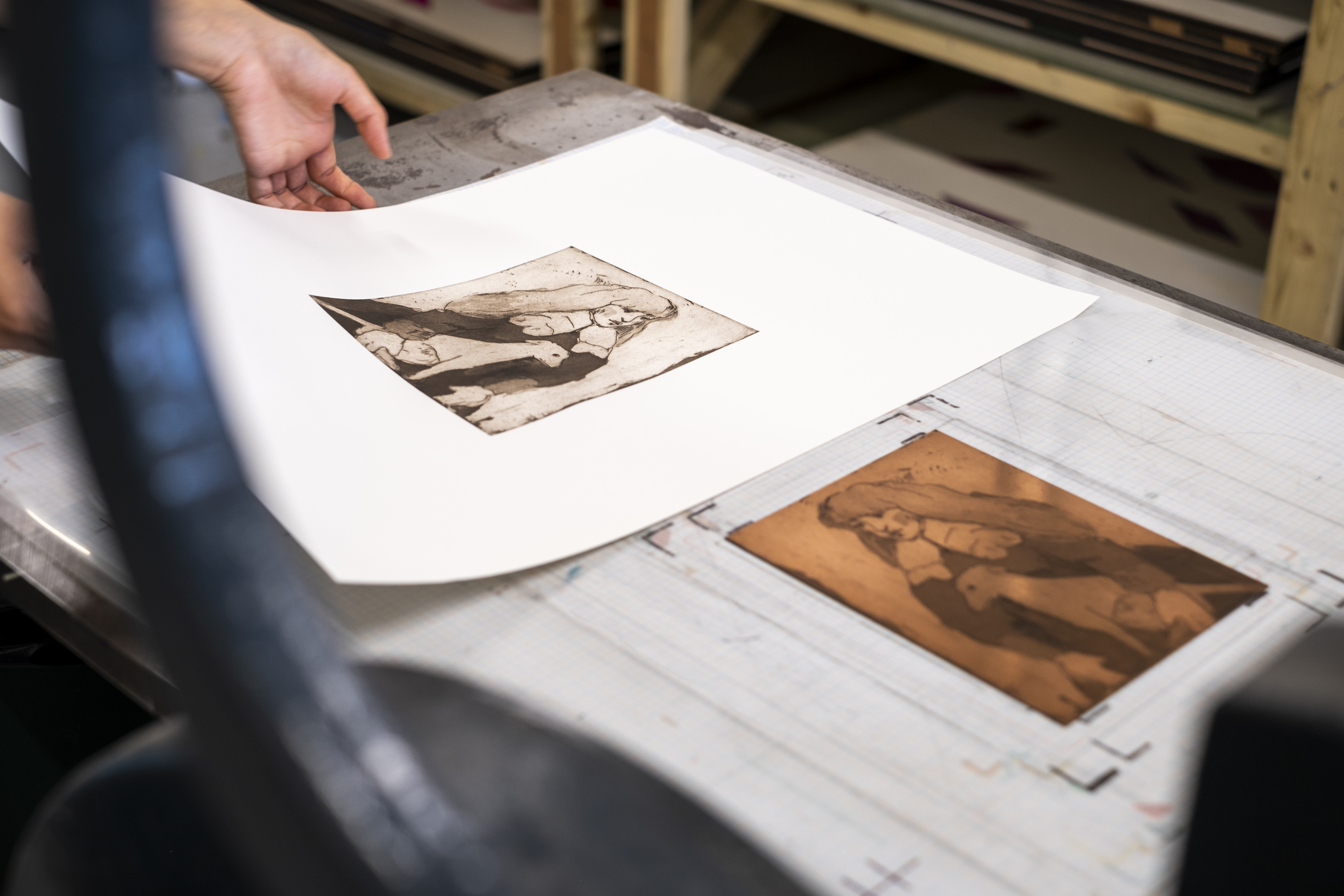 One Thousand Living Things Are Sleeping in My Arms in production: the finished etching lifted from the copper plate on the press bed.