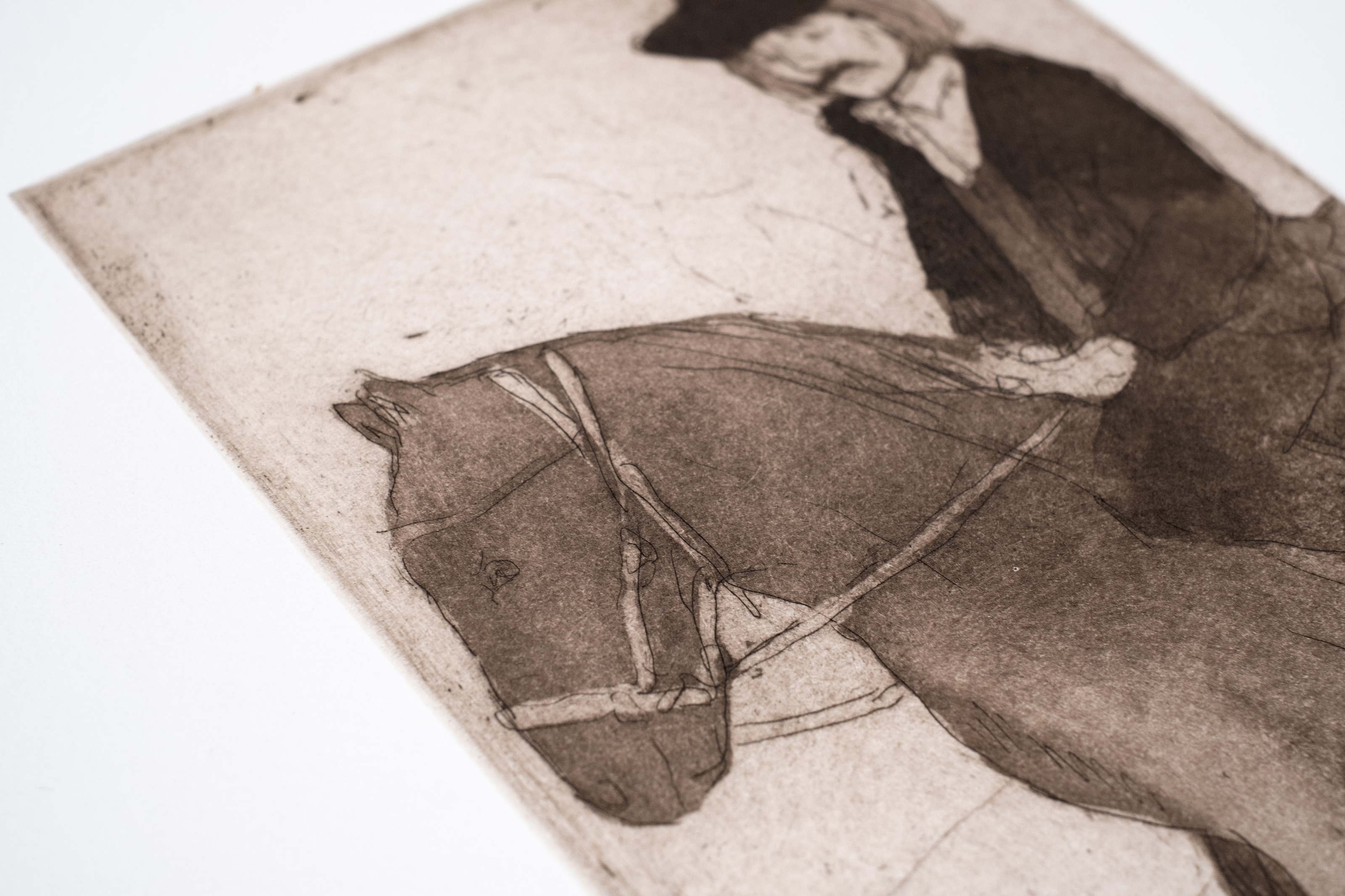 Liorah Tchiprout, The ridge rider (detail): the horse's bridled head and the rider's hand on the rein.