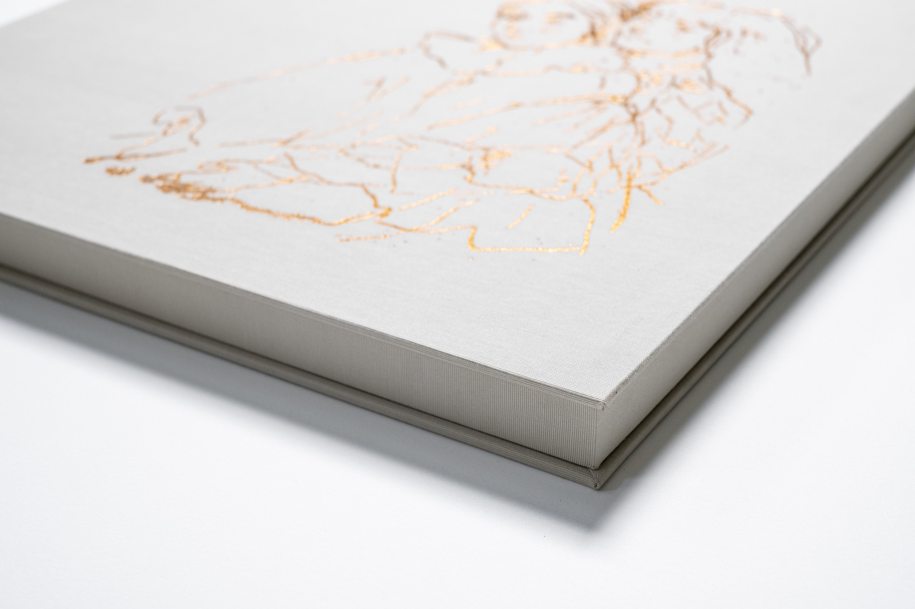 Liorah Tchiprout, Etched on all things bright and dark: a corner of the cloth box, showing its depth and gold-foil cover.