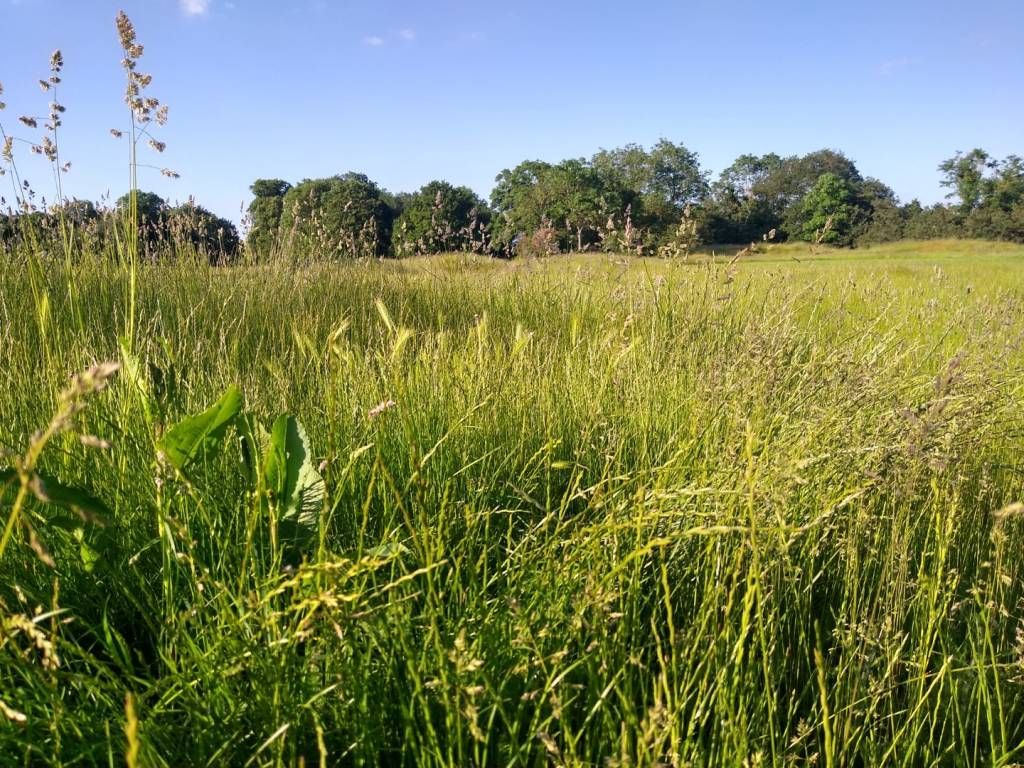 Keep public land in public hands