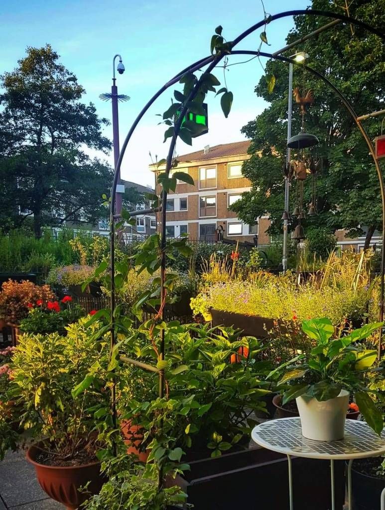 Victory Blooms: Rochdale social housing tenants triumph in defending gardens threatened by controversial planning works