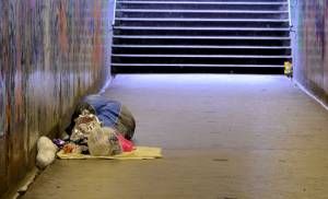 ‘There’s nothing wrong with him. He just doesn’t fancy sleeping on the streets.’