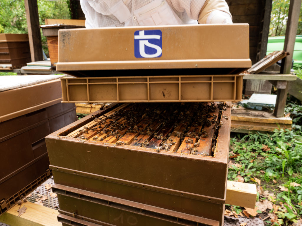 La toute première ruche T&S