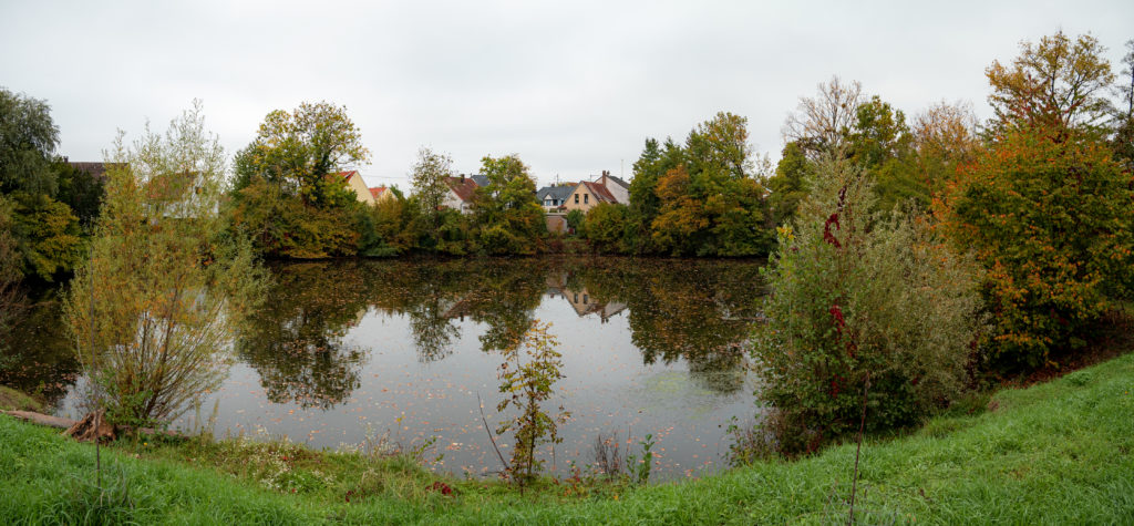 Un des magnifiques lieux et son lac cachés au milieu de zone d'habitation de strasbourg