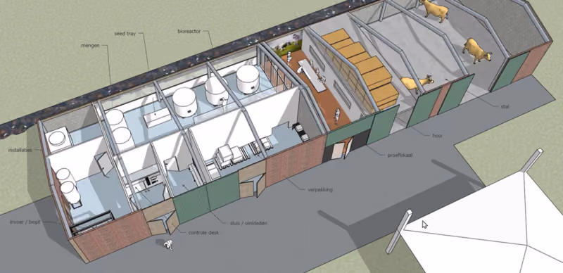 Project afbeelding