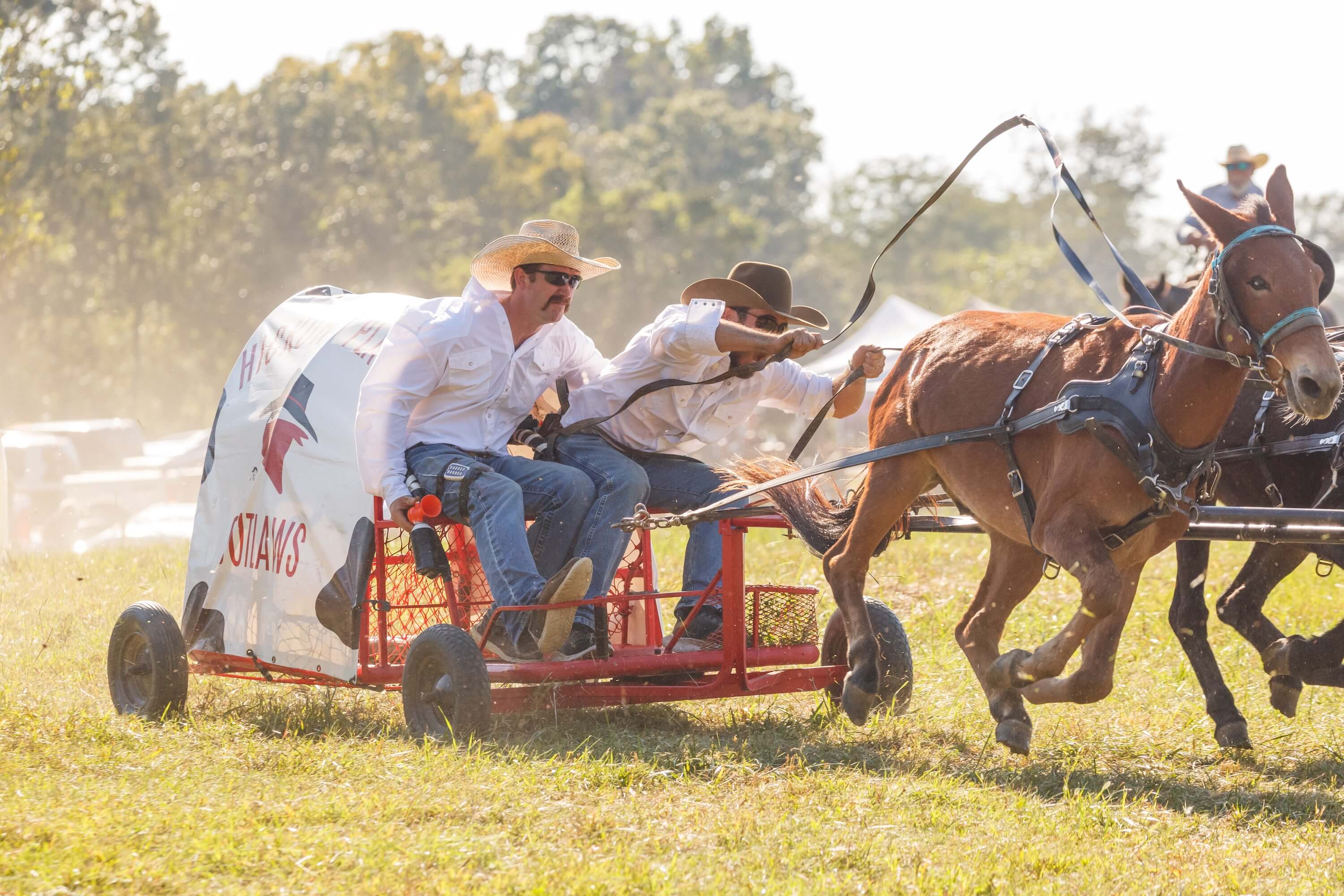 Wagon Races