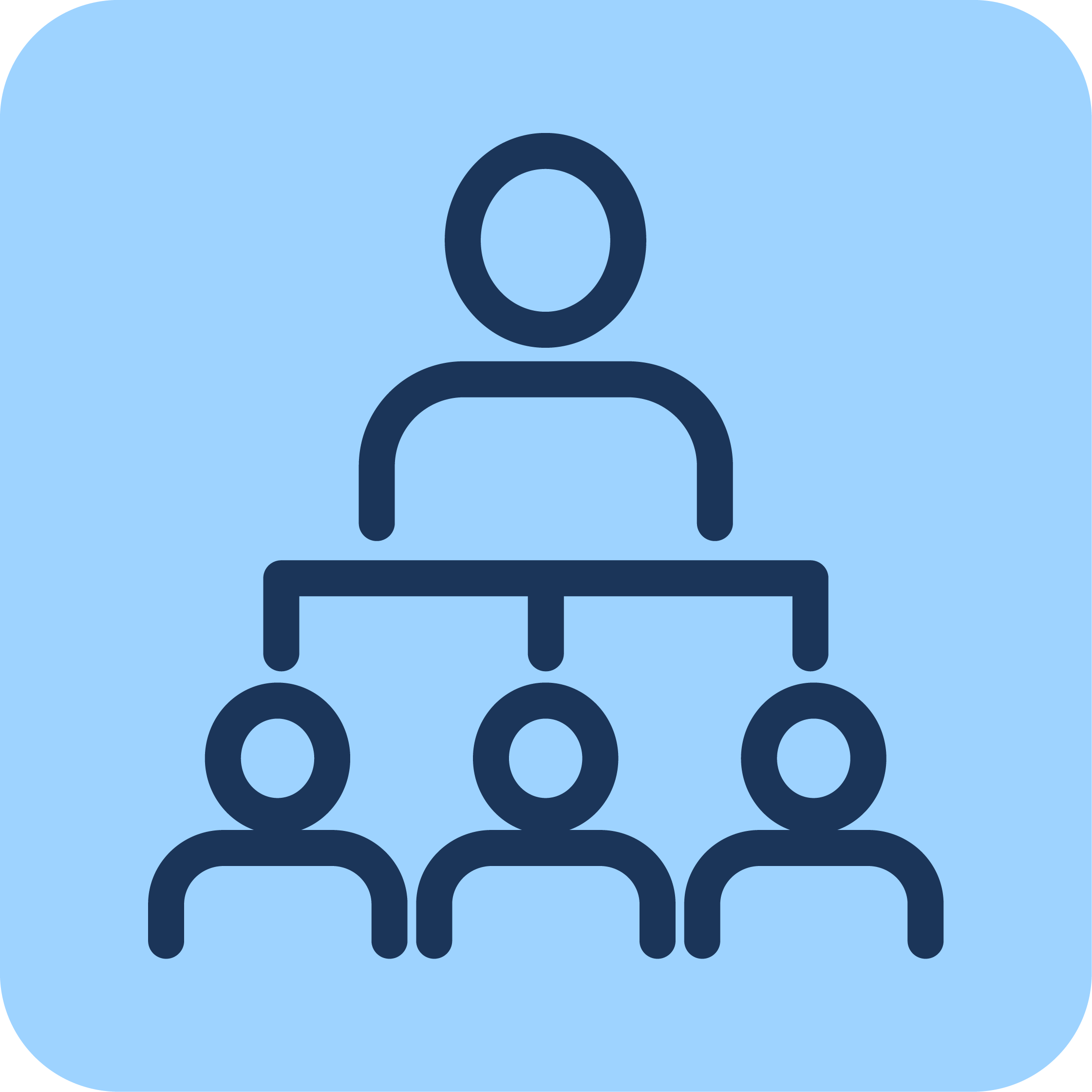 Leadership Advisory Icon
