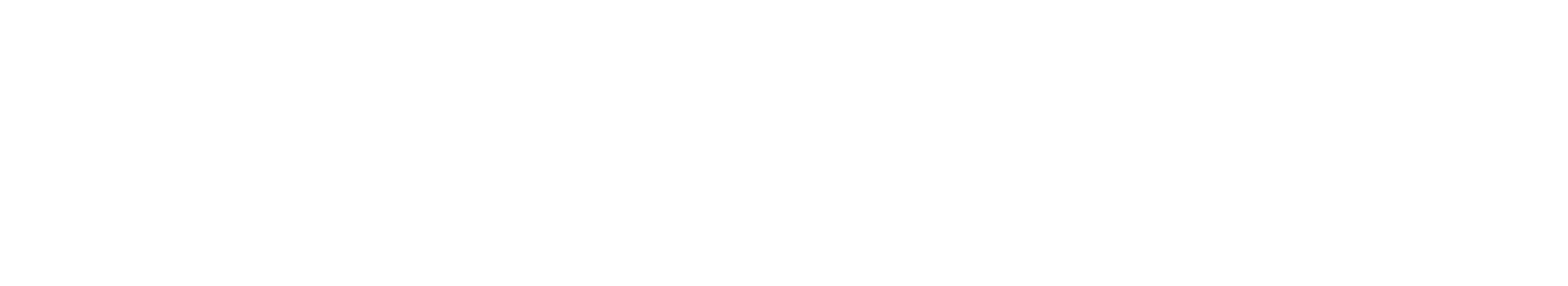Footer Brand Image
