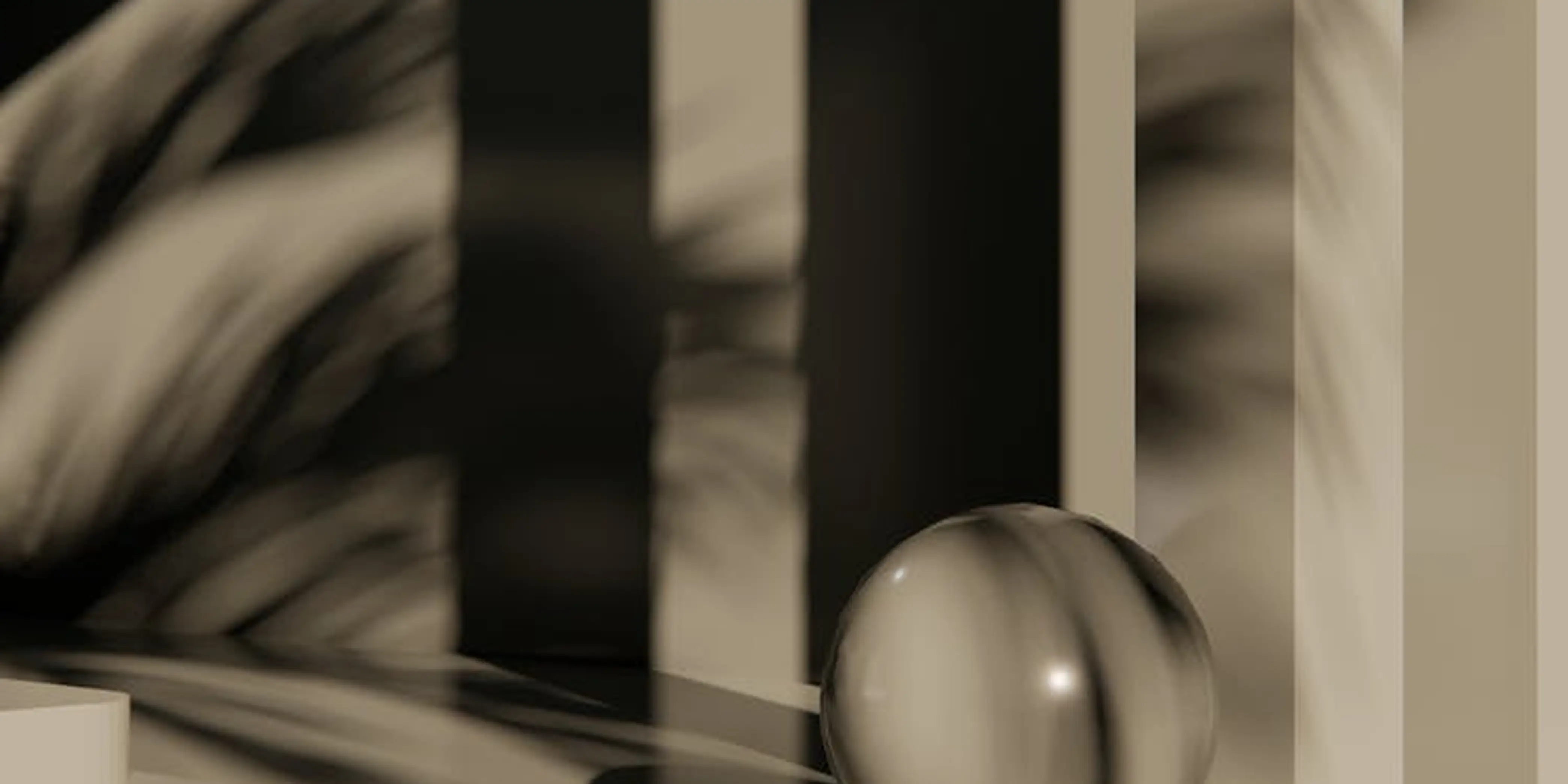 Single Project Image