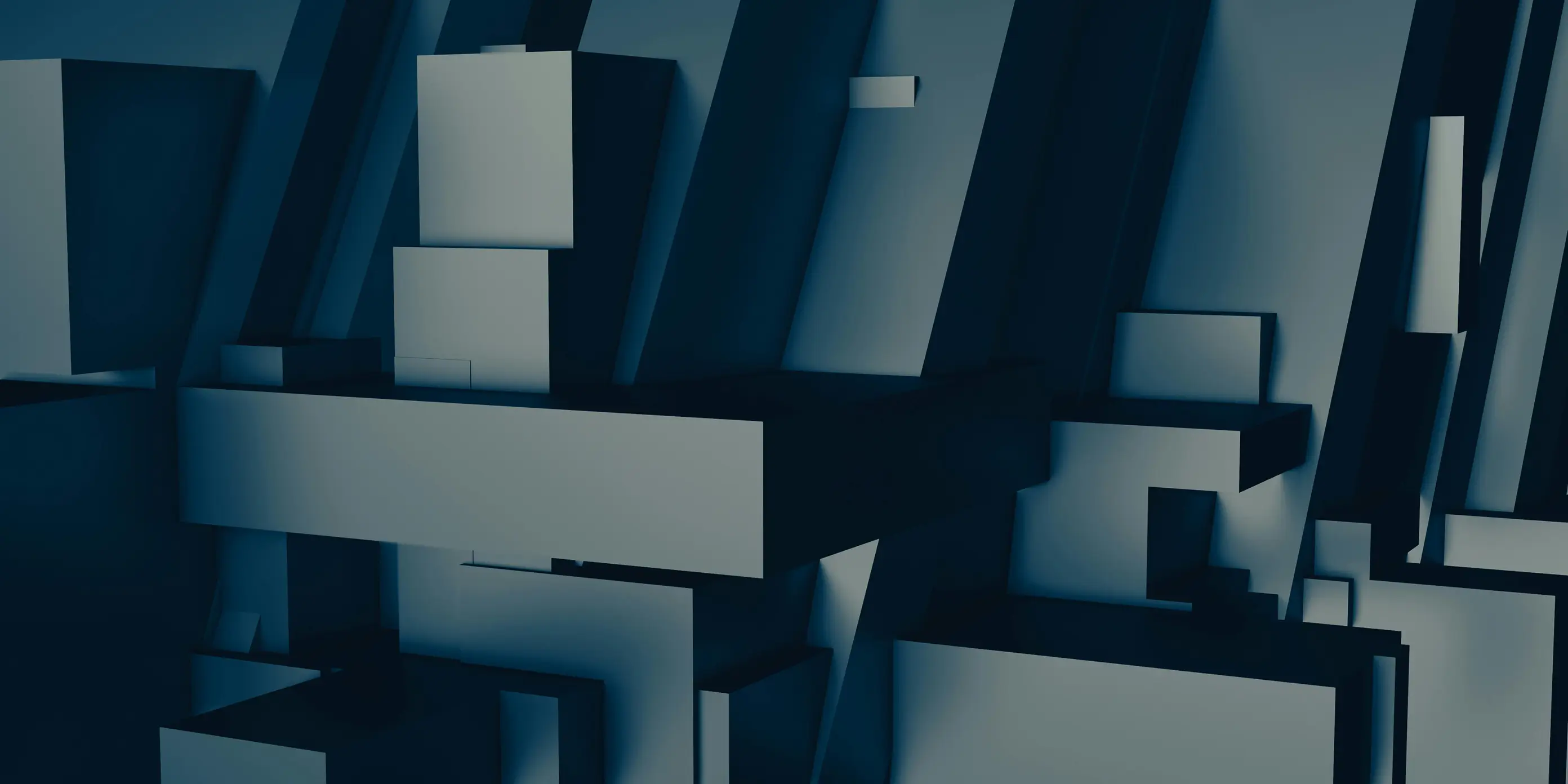 Single Project Image