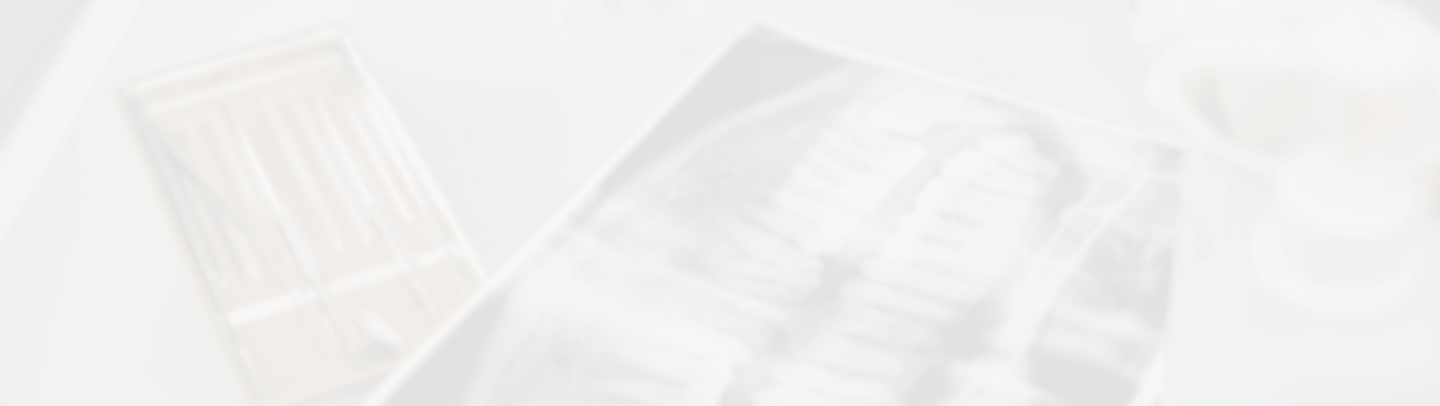 Adult Dentistry service