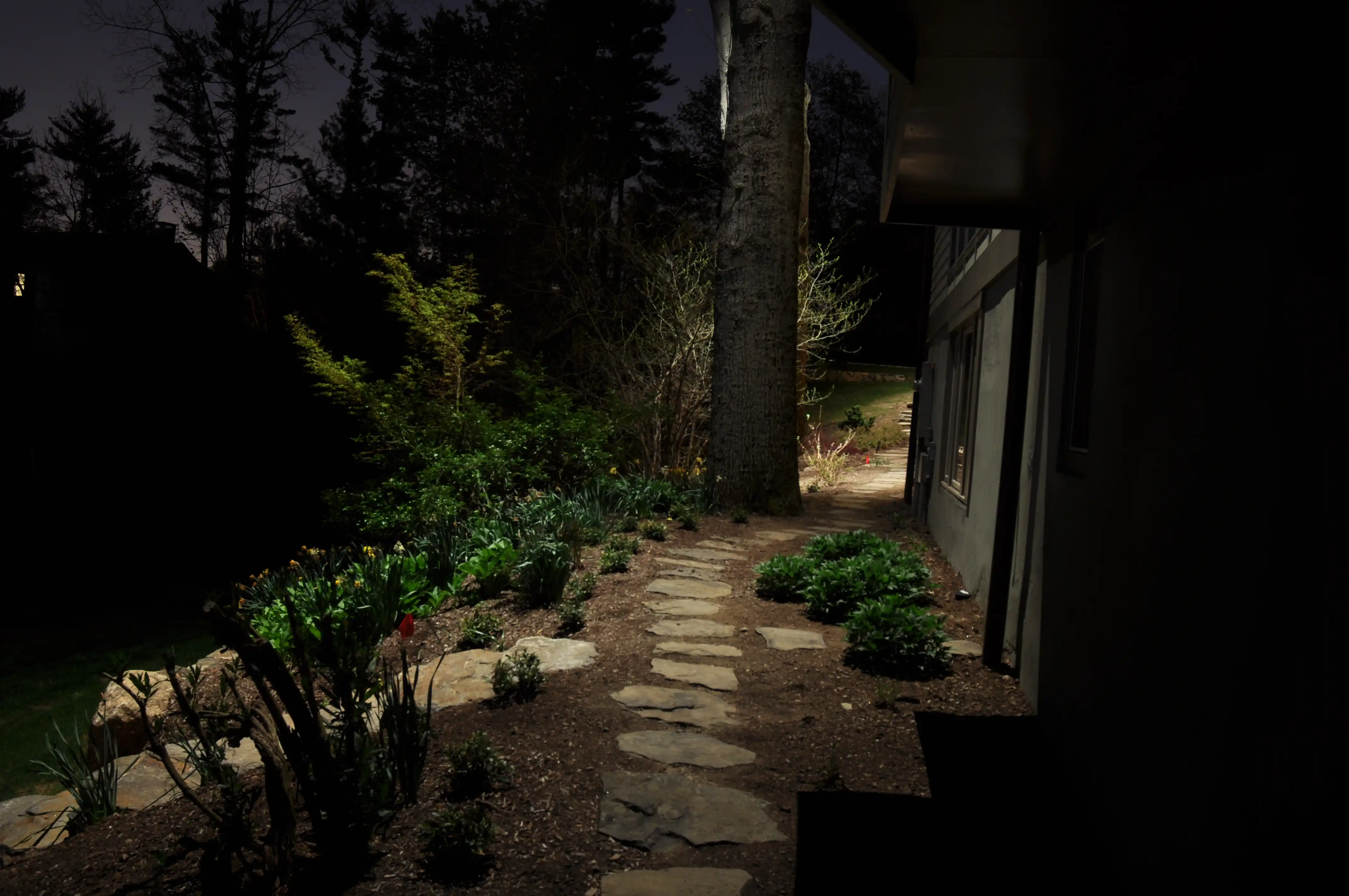 Stone pathway at night beside a house, bordered by plants and illuminated by garden lights.
