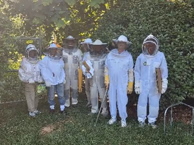 Hive Fives All Around! Arbor Acres Beekeepers Celebrate Record Honey Haul