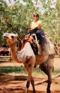 Camel Travel in Niamey, Niger