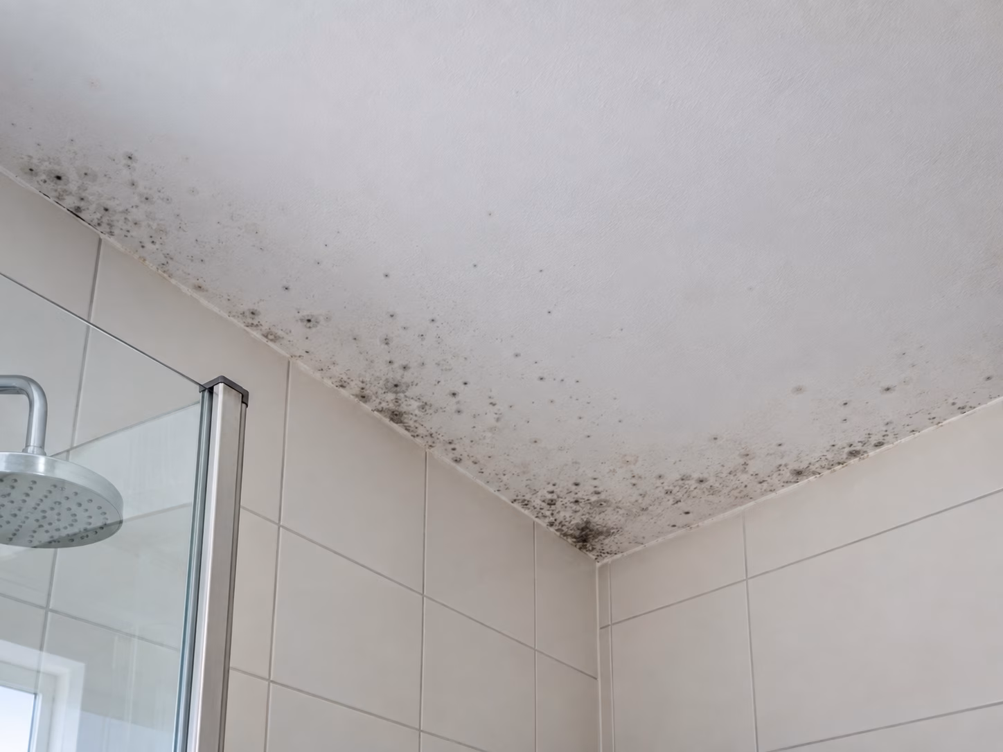 Voorbeelden van schimmel op muren, ramen, in de slaapkamer en badkamer