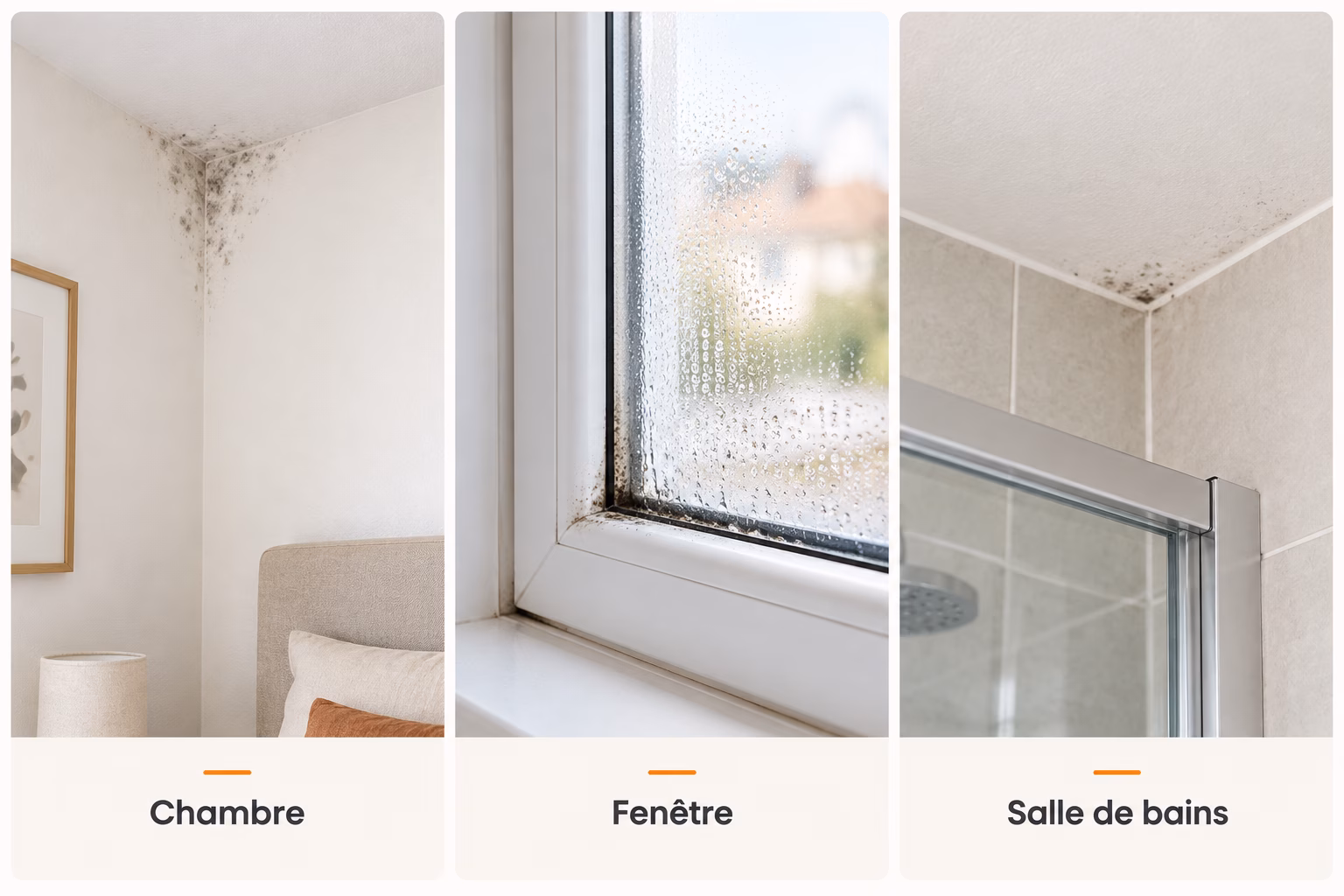 Schimmel in een slaapkamer, rondom een raam en in een badkamer
