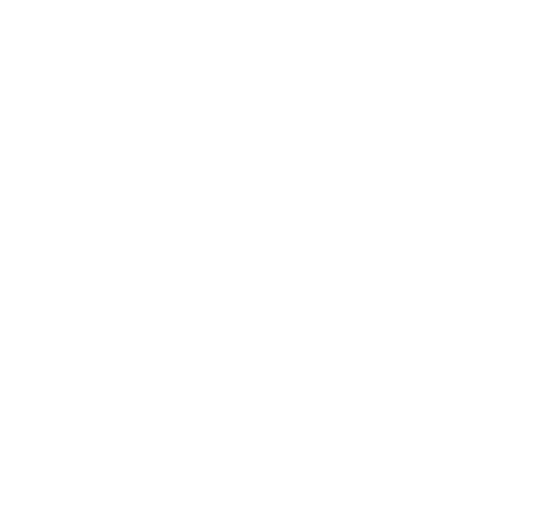 Vetra detailed logo