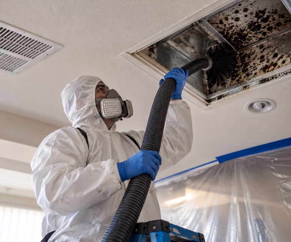 Air Duct LV technician treating mold inside residential ductwork.