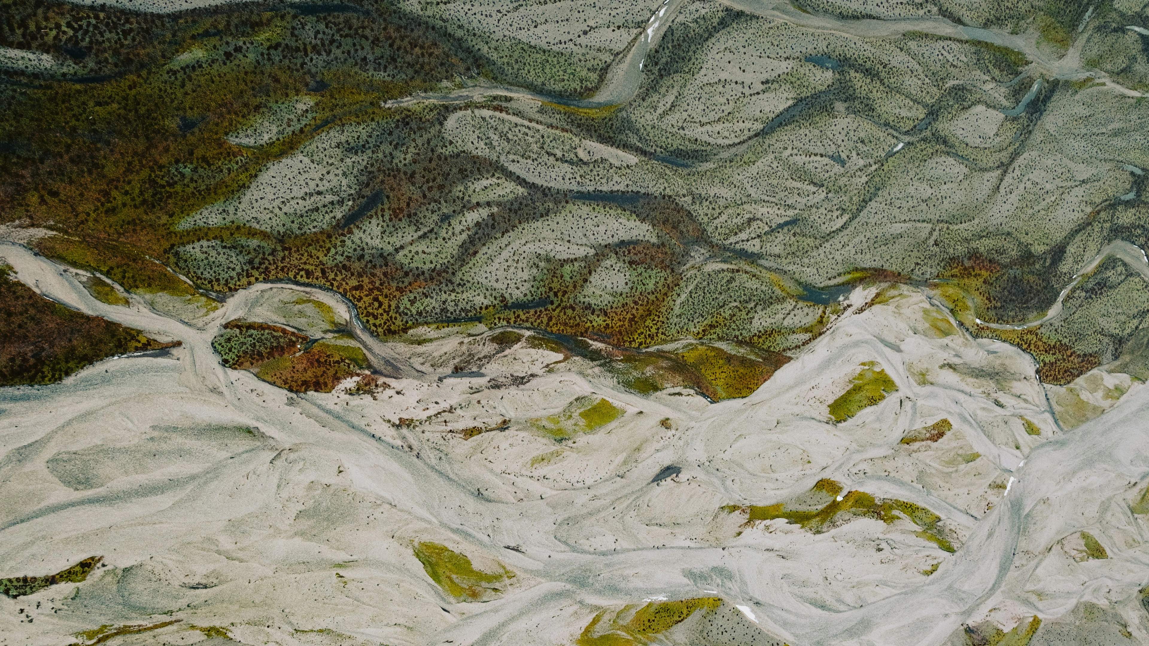 Aerial view of a braided river with multiple channels flowing through sandy and green terrain.