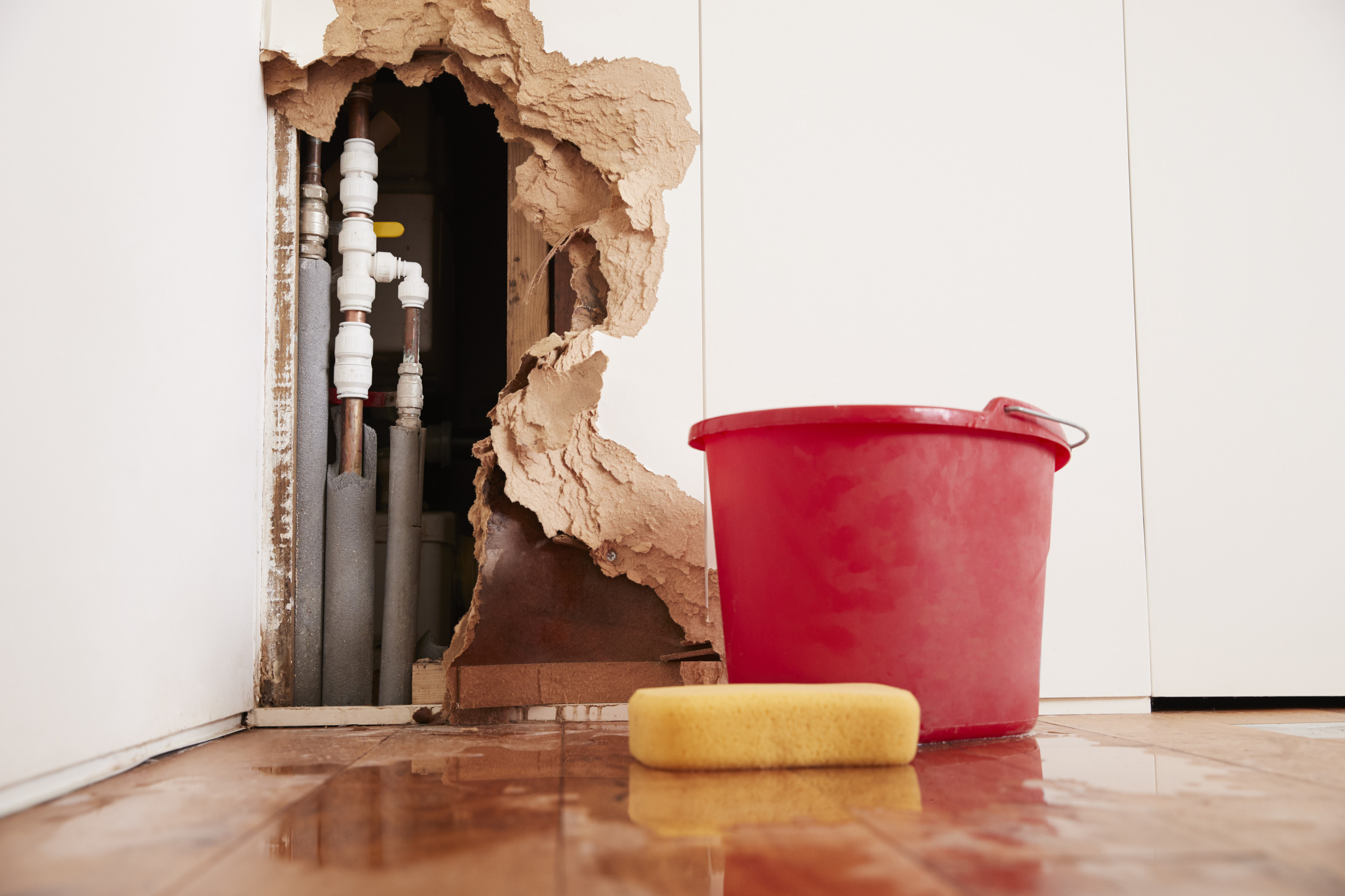 What to Do Immediately After a Pipe Bursts in Your Home