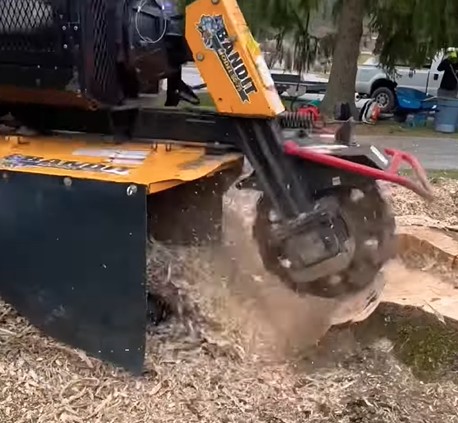 stump grinding