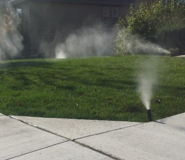stump grinding