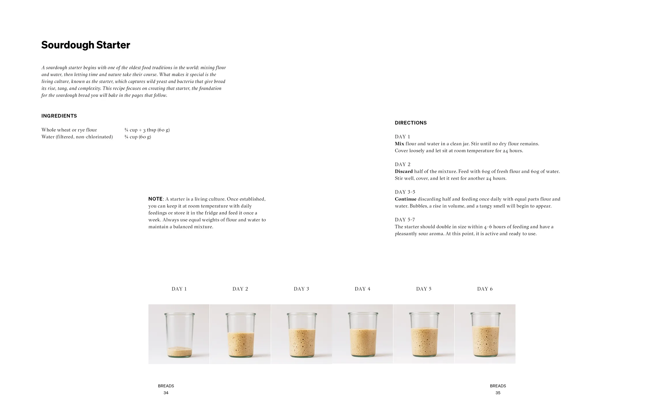 Sourdough Starter recipe spread