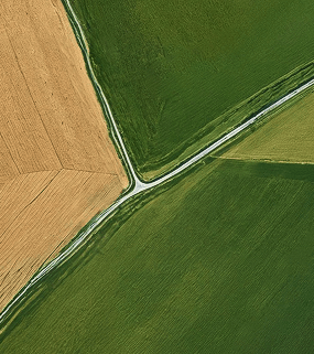 Aerial view of intersecting country roads dividing green and brown crop fields.