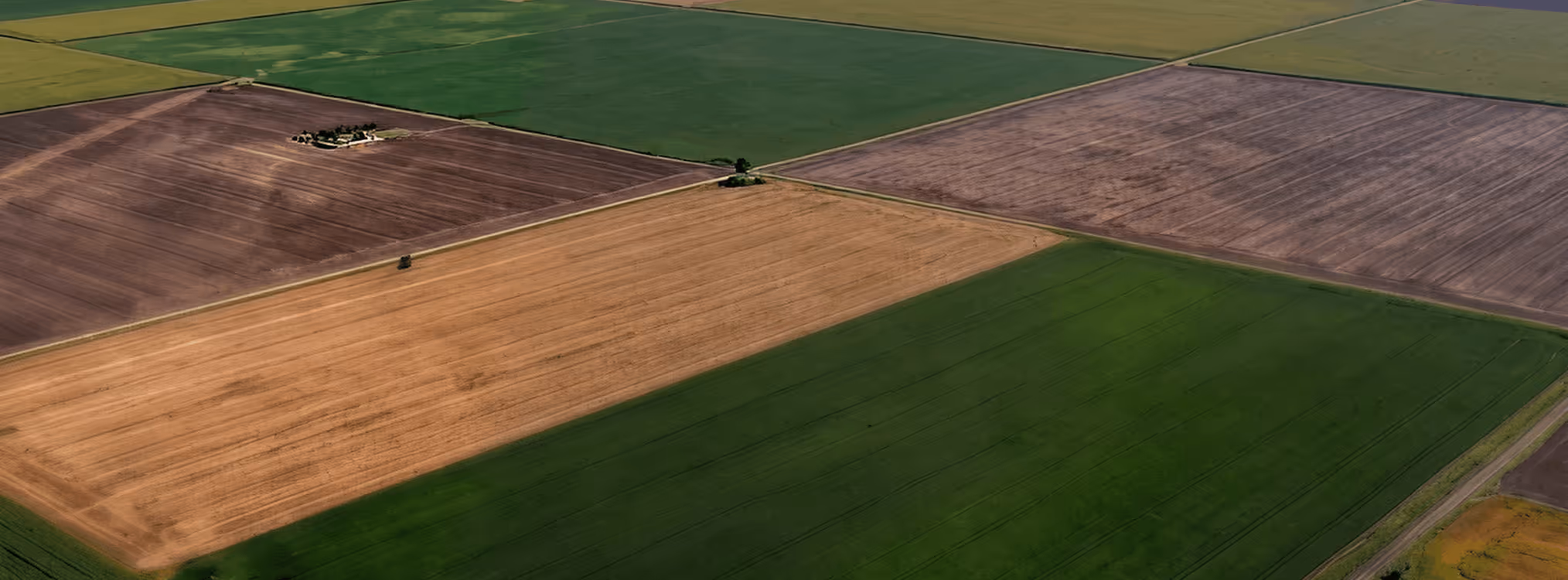Aerial view of large farm fields in various colors including green, brown, and tan, divided by dirt roads.