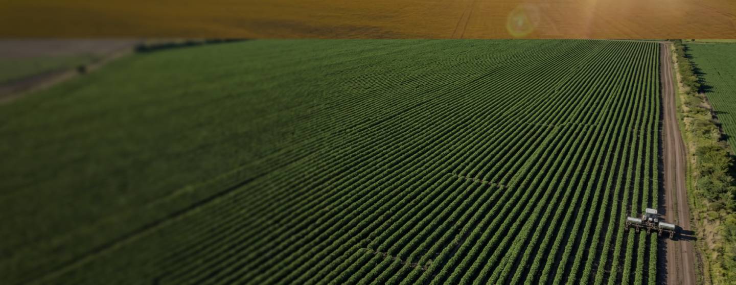 Vista aérea de un campo verde con maquinaria agrícola al costado de un camino de tierra.