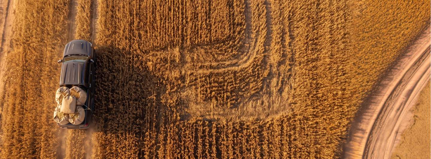 Camioneta negra con sacos de trigo en un campo dorado visto desde arriba.