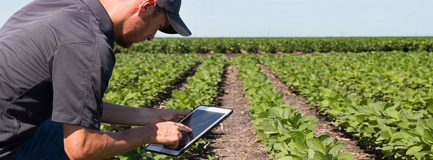 Hombre con gorra usando tablet en un campo con hileras de plantas verdes bajo cielo despejado.