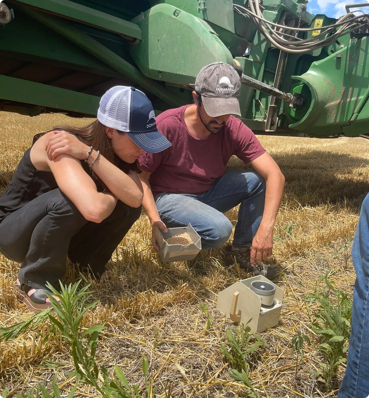 Dos personas observan semillas y un dispositivo en un campo agrícola con maquinaria verde cerca.