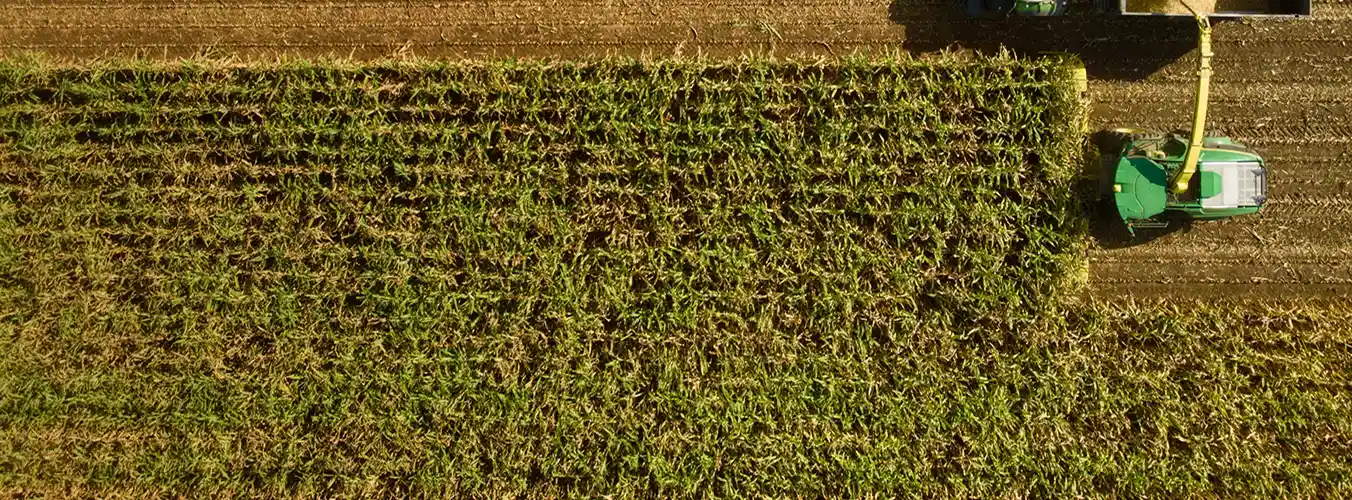 Vista aérea de una cosechadora verde cosechando un campo agrícola.