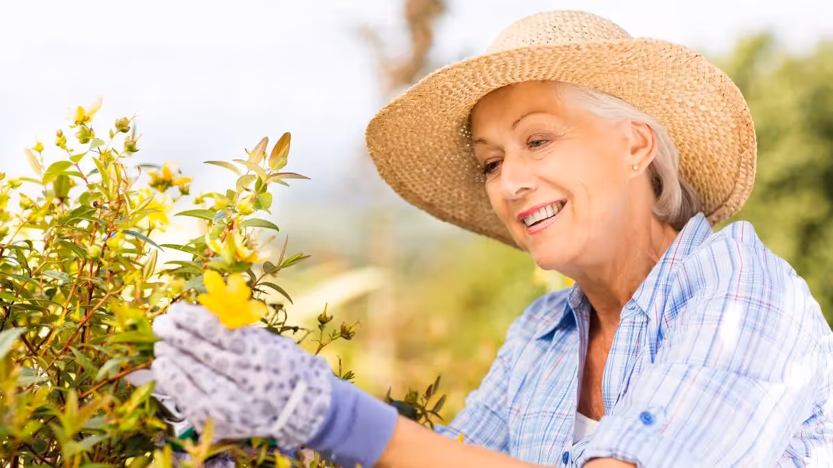 Can You Buy an Annuity Inside an IRA?