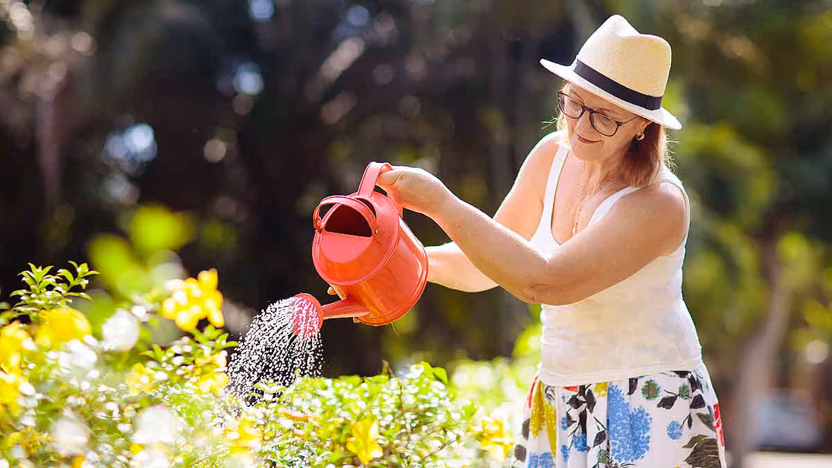 How to Find the Best MYGA Annuity Rates