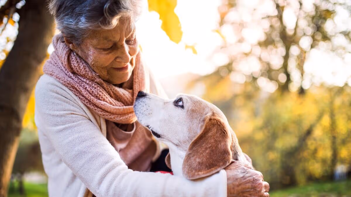 Should I Have an Annuity in My Portfolio?