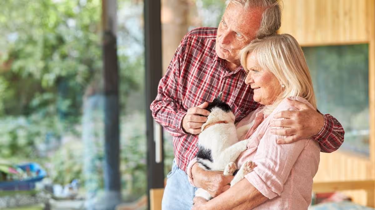 Single Premium Immediate Annuities - Explained