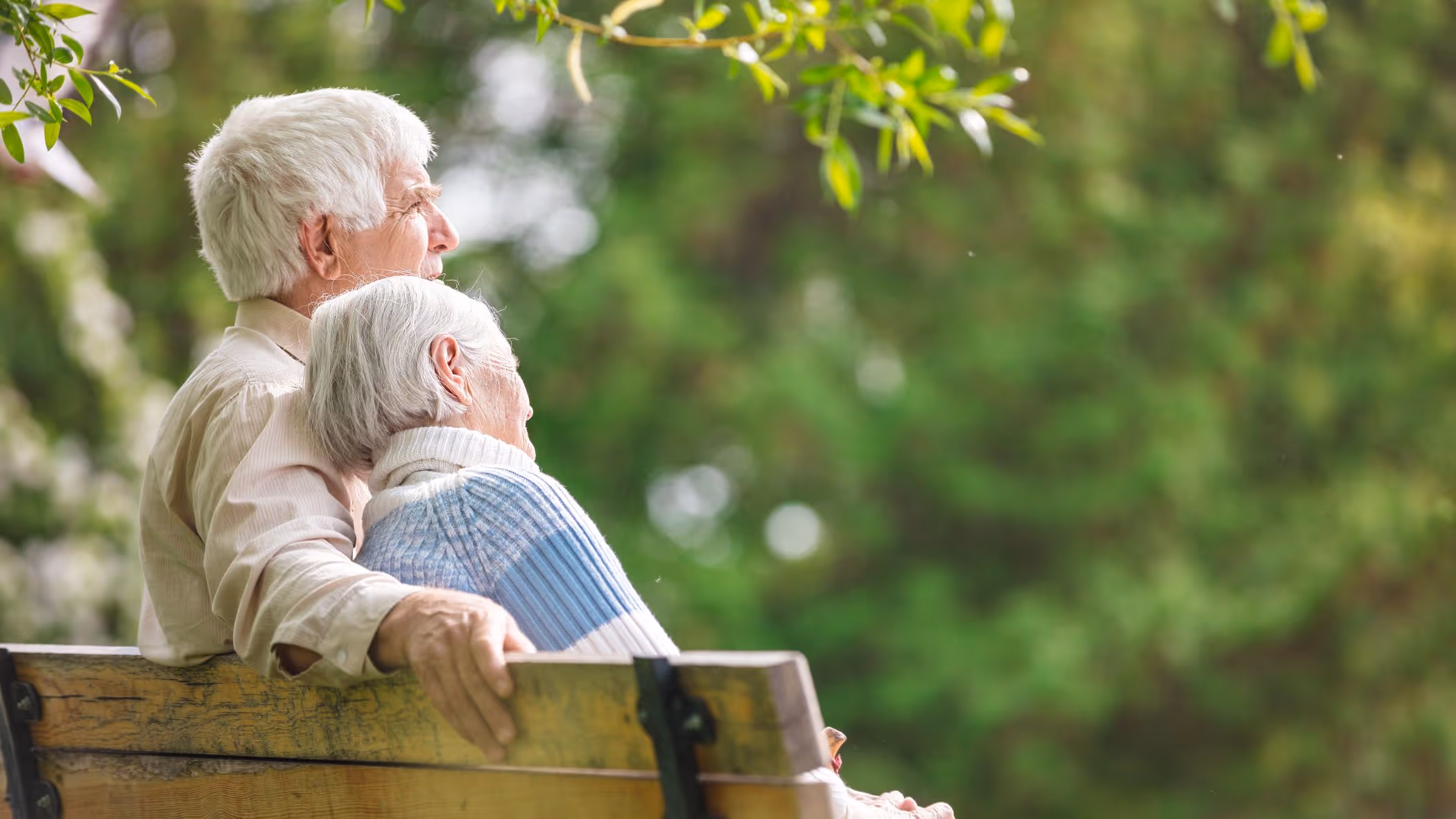 what is a hybrid annuity thumbnail