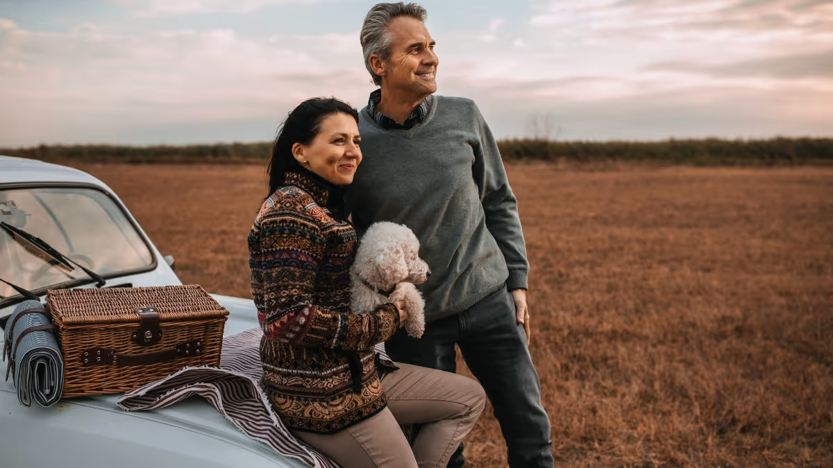 What-Guarantees-a-Steady-Stream-of-Income-in-Retirement?