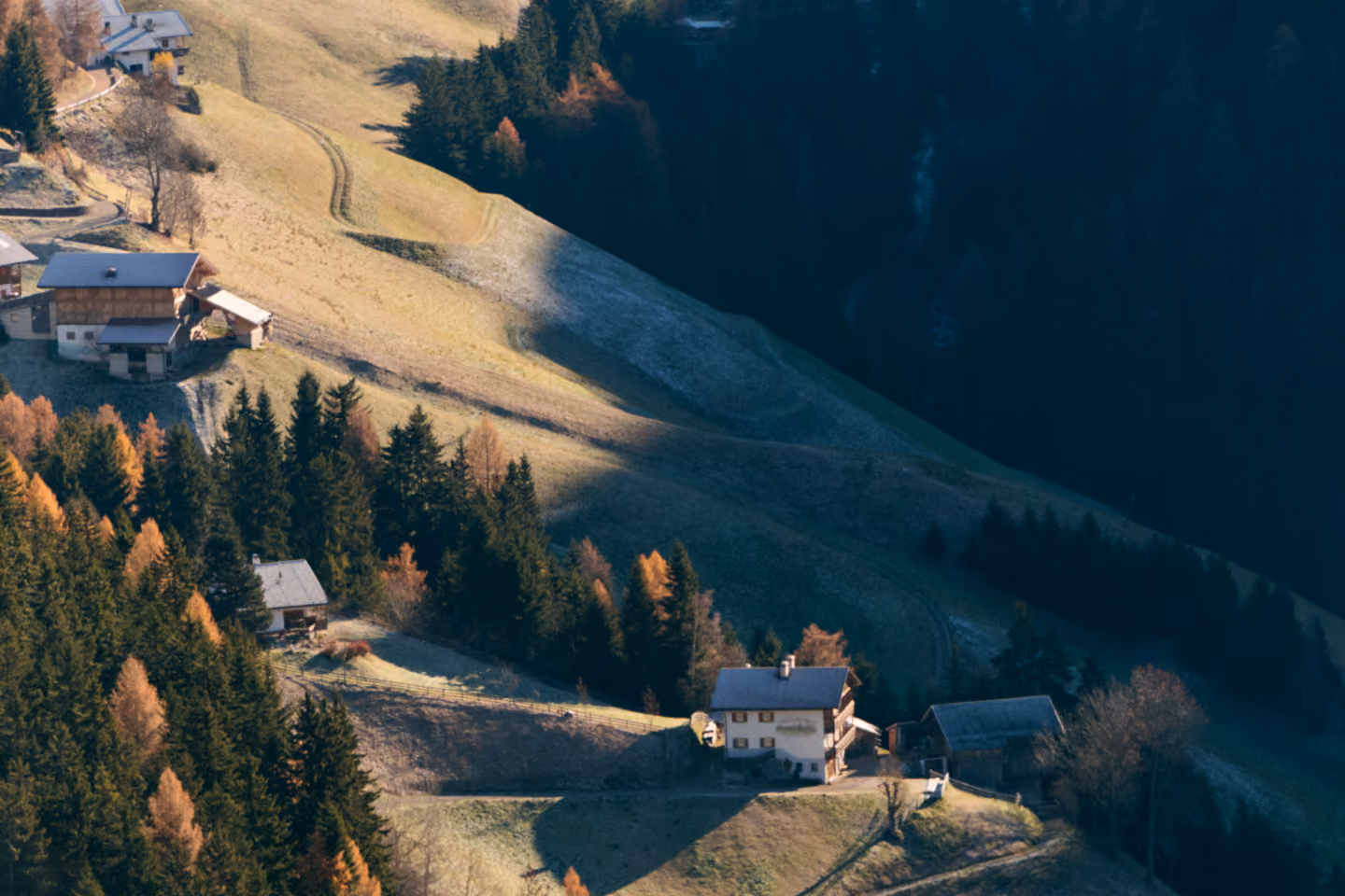 Mountain houses surrounded by evergreen and autumn trees on sunlit grassy slopes with shadows.