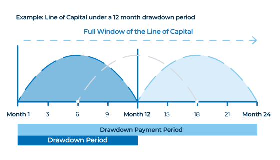 Bizcap Line of Capital drawdown period graph