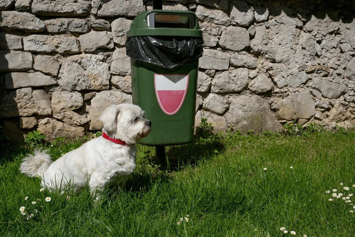 pet waste station