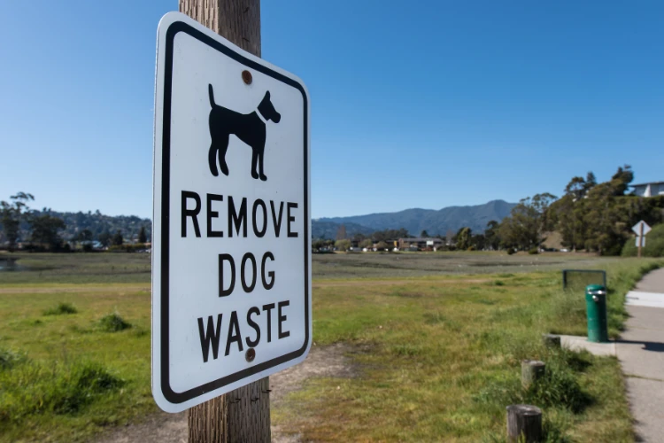 dog waste