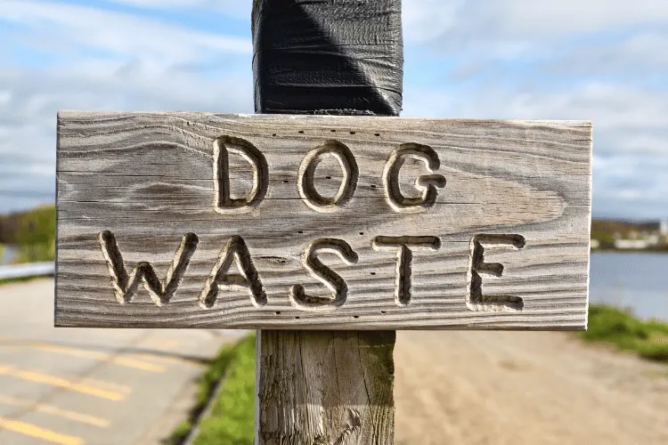 dog waste