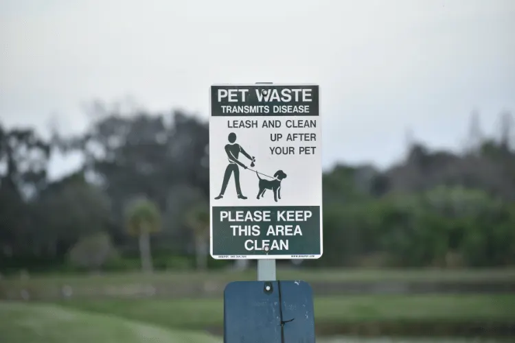 pet waste