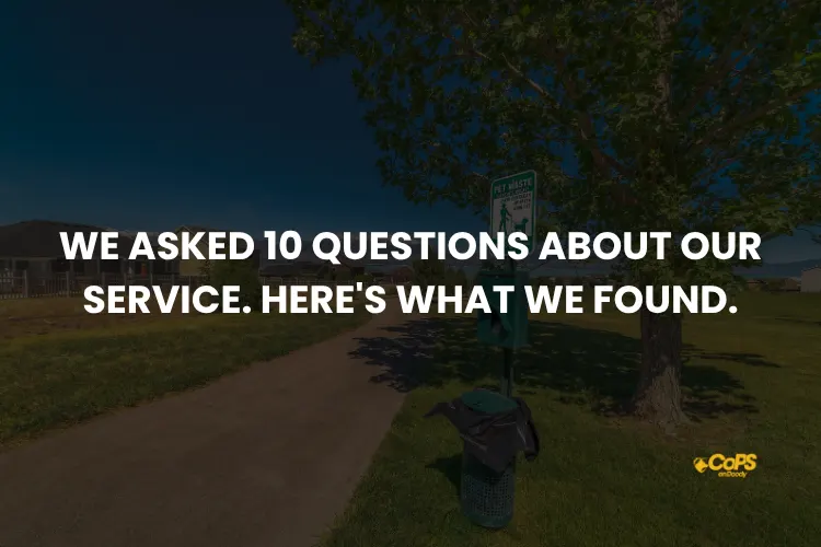 We Asked 10 Questions About Our Service. Here's What We Found.