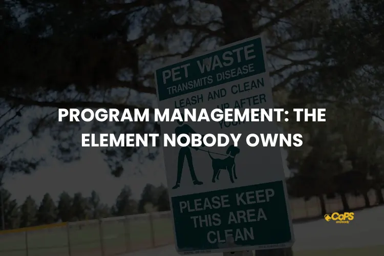 Program Management The Element Nobody Owns